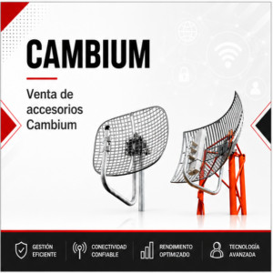 Cambium